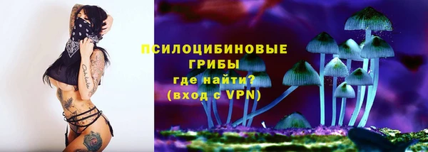 винт Инсар