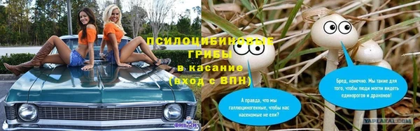 apvp Зеленодольск