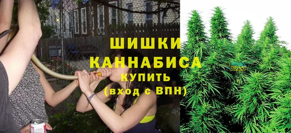 Альфа ПВП Иннополис